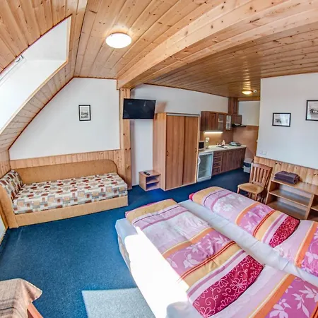 Podkuvka 3* Kořenov